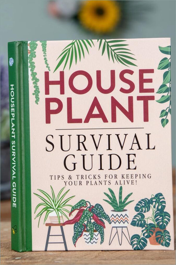 Boxer Gifts Bok "Houseplant survival guide" grønn