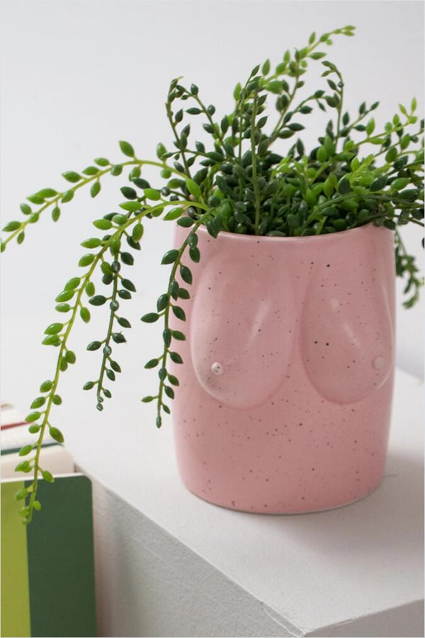 Helio Ferretti Vase Tits rosa
