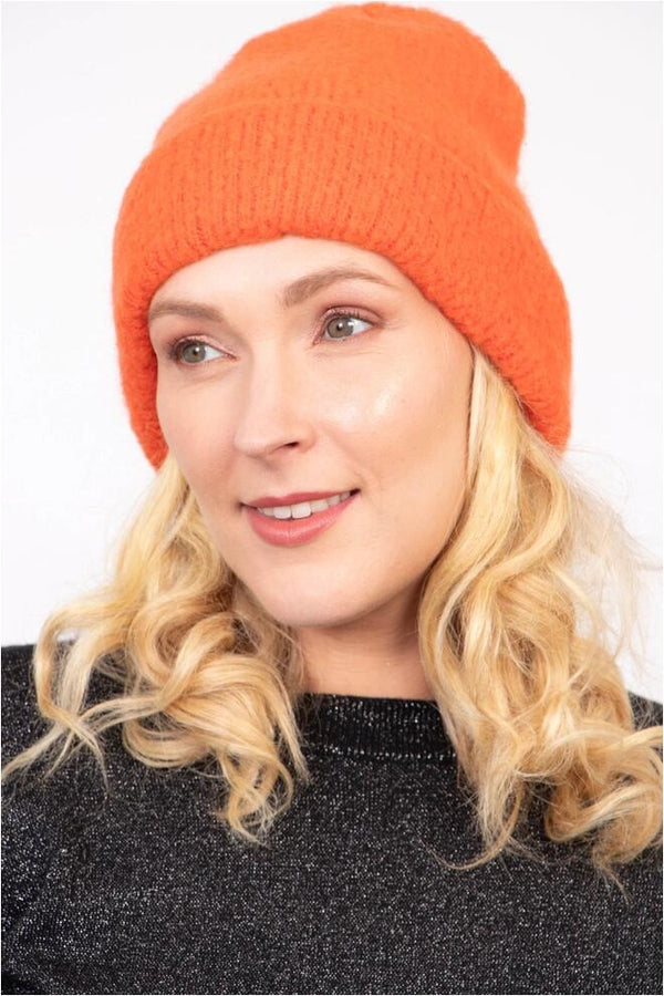 Miss Shorthair Lue Saylor oransje