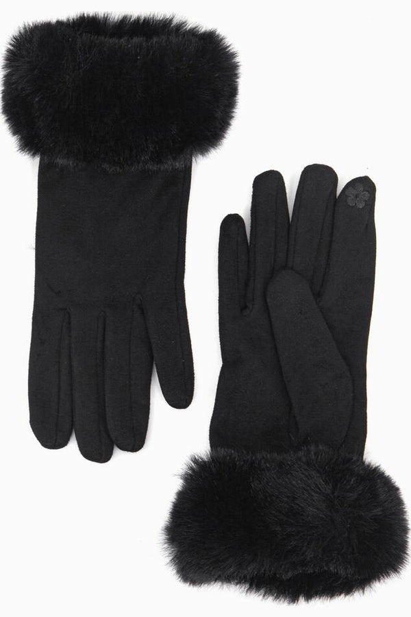 Miss Shorthair Hansker Zara sort